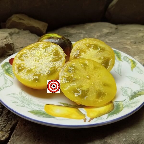 Rainbow Siberian Tomato