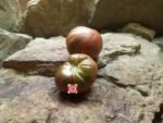 Randy's Amarillo Stripes Tomato