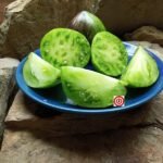 Rebel Starfighter VT16 Tomato