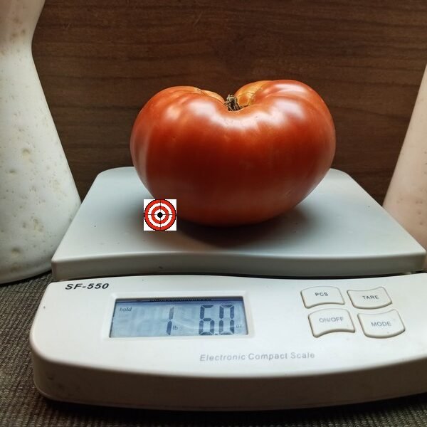 Red Barn Tomato