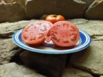 Red Deuce F2 Tomato