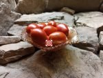 Ropreco Paste Dwarf Tomato - Image 2