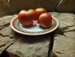 Reinhard Kraft's Chocolate Heart Tomato