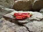 Ring of Fire Pepper - Image 3
