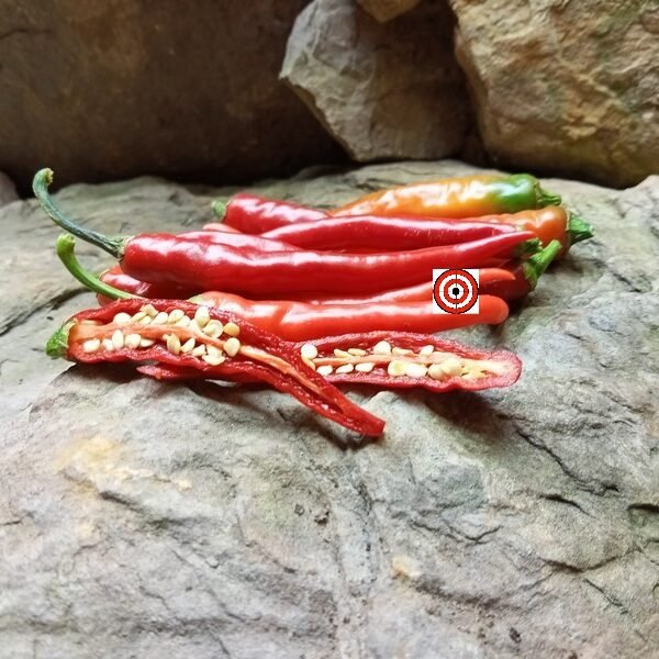 Ring of Fire Pepper
