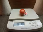 Roma Tomato - Image 4