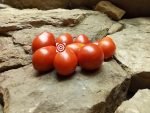 Ropreco Paste Dwarf Tomato Red Tomato