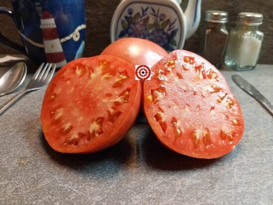 Sakharnyi Slon Tomato