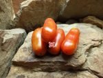 San Marzano Heirloom Tomato
