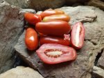 San Marzano Tomato Seeds