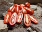 Sauce Tomato Sausage Tomato