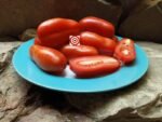 Sausage Tomato