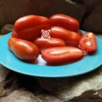 Sausage Tomato
