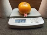 Sean's Yellow Dwarf Tomato