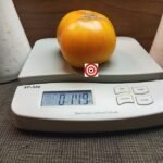 Sean's Yellow Dwarf Tomato