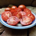 Siccagno Tomato