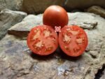 Slavic Masterpiece Beefsteak Tomato
