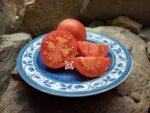 Slavic Masterpiece Tomato