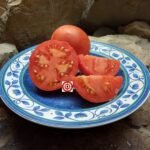 Slavic Masterpiece Tomato