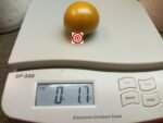 Soul Patch Tomato.