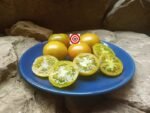 Soul Patch Tomato Seeds by Blane Horton