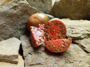 Southern Night Beefsteak Tomato
