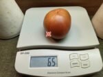 Southern Night Dark Tomato