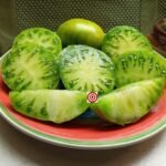 Spear's Tennessee Green Tomato
