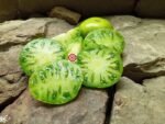 Spear's Tennessee Green Tomato Seeds