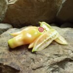 Sugar Rush Peach Pepper