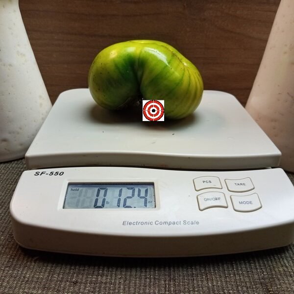 Summer Love Tomato