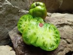 Summer Love Tomato by Brad Gates