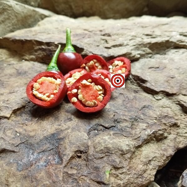 Sweet Cherry Pepper