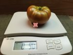 Tasmanian Chocolate Dwarf Tomato