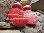 The Dutchman Tomato seeds
