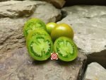 Green Brandy Tomato - Image 6