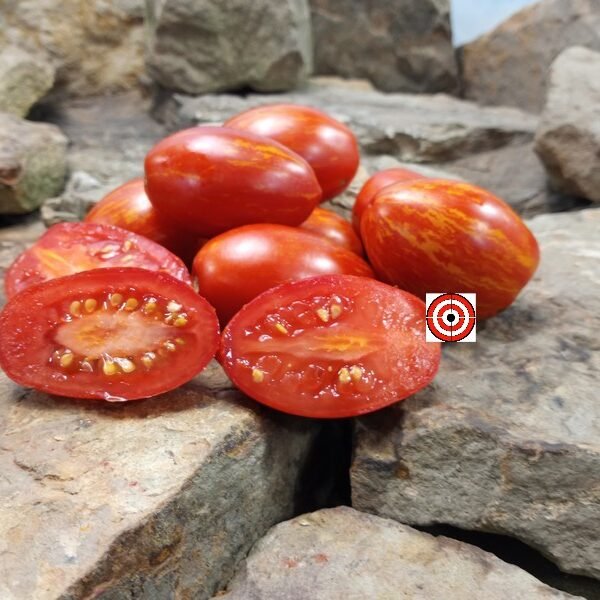 Trentons Tiger Tomato Seeds