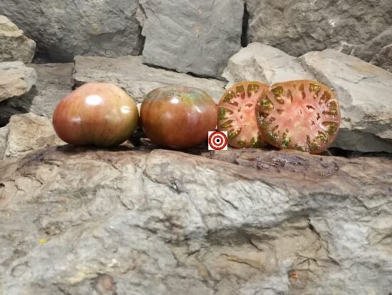 Tundra Tomato