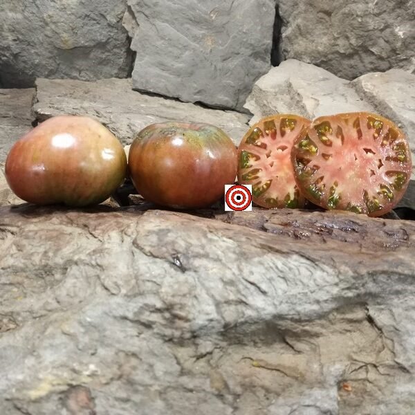 Tundra Tomato