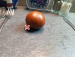 Tundra Tomato by Karen Olivier