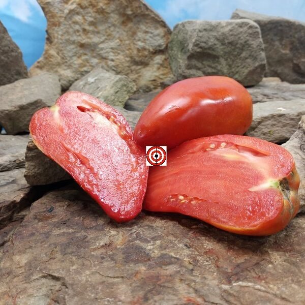 Uncle Doc Tomato