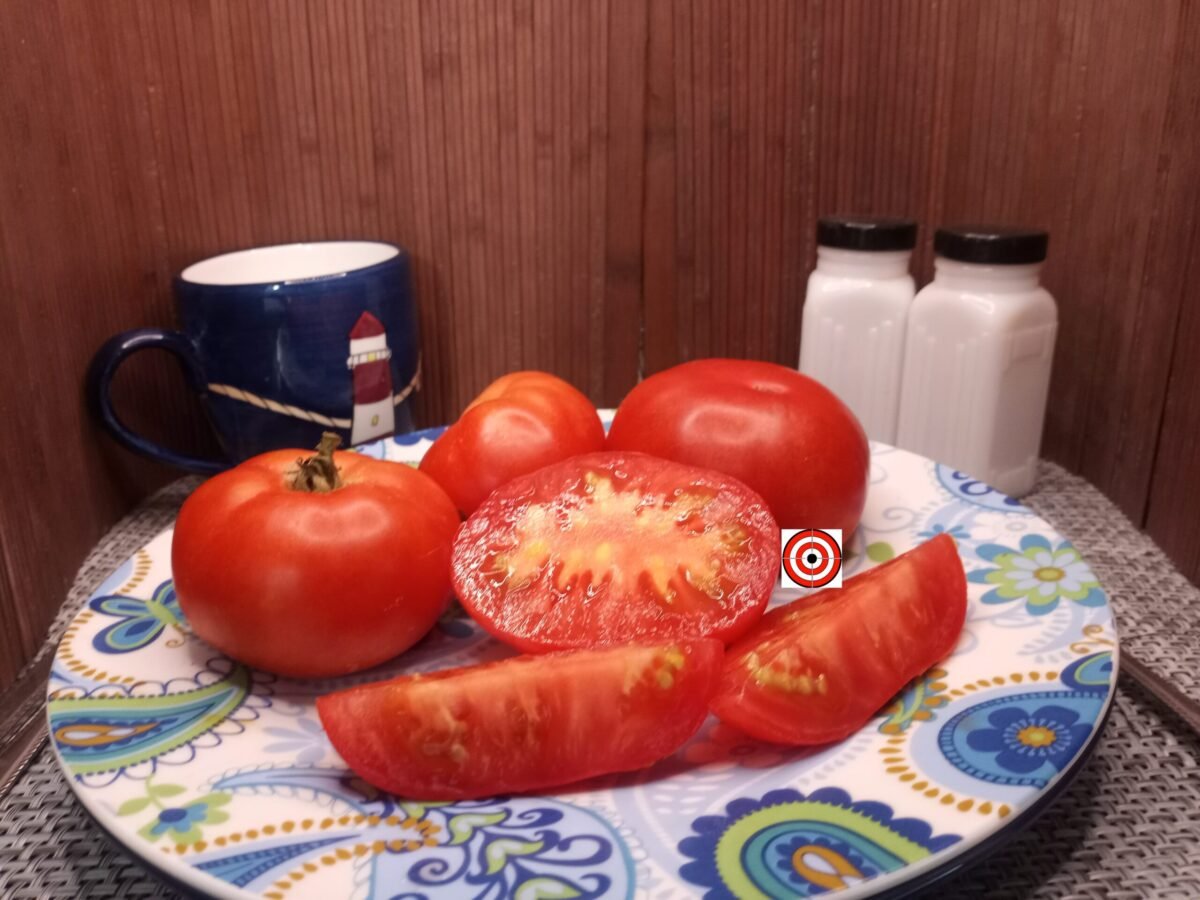 Victorian Dwarf Tomato Seeds Patio Tomatoes.