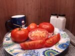 Victorian Dwarf Tomato Seeds Patio Tomatoes.