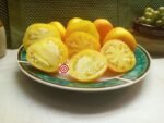 Yellow Furry Boar Tomato
