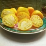 Yellow Furry Boar Tomato