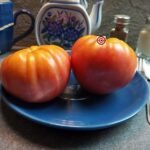 Zena's Gift Tomato