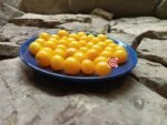 Zluta Kytice Tomato - Image 3