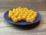 Zluta Kytice Tomato - Image 4