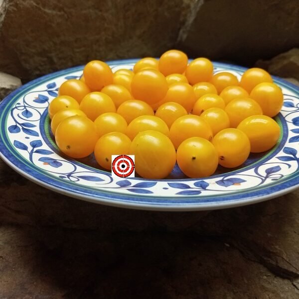 Zluta Kytice Tomato