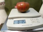 Bronze Orb Tomato.